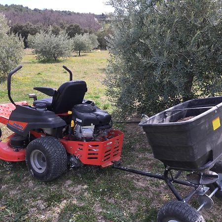 Ferme Oleicole Les Callis Gordes Exterior foto