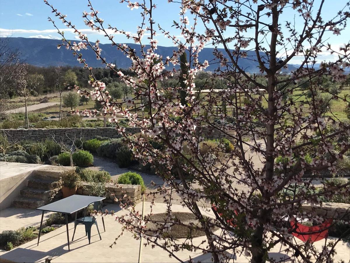 Ferme Oleicole Les Callis Gordes Exterior foto