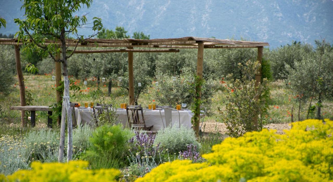 Ferme Oleicole Les Callis Gordes Exterior foto