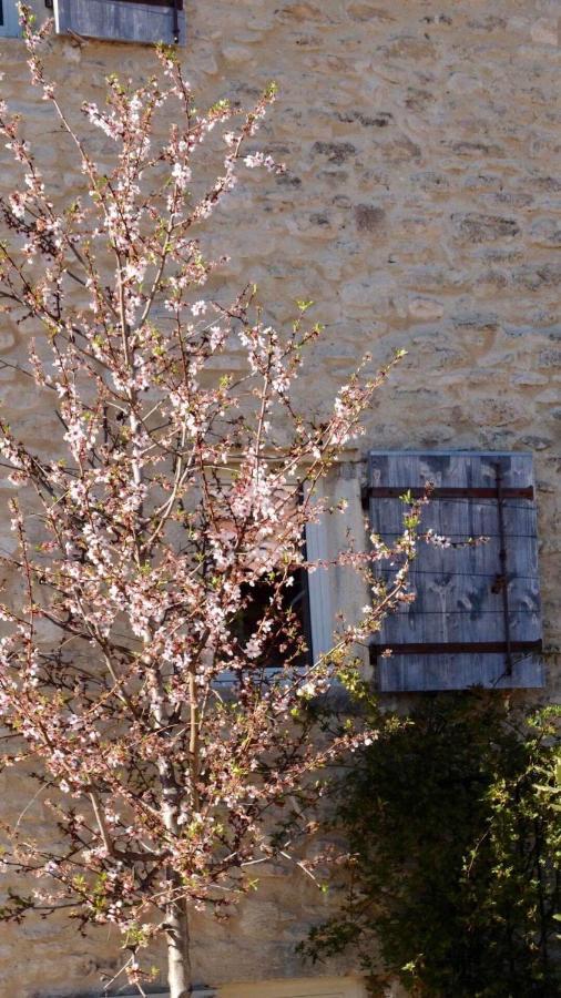 Ferme Oleicole Les Callis Gordes Exterior foto